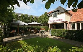 The Lion Chelmsford